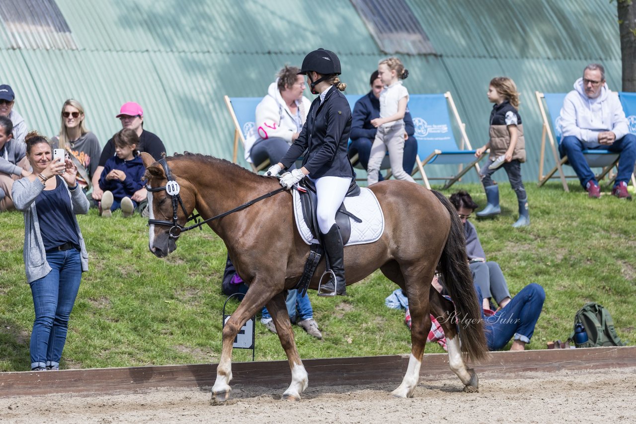 Bild 351 - Pony Akademie Turnier